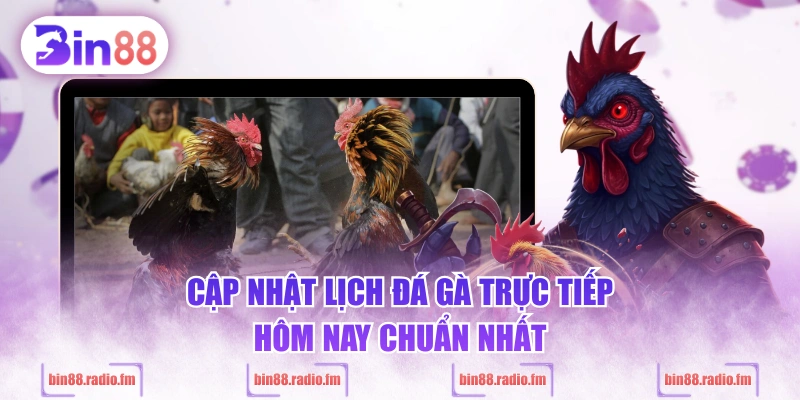 Cập nhật lịch đá gà trực tiếp hôm nay chuẩn nhất