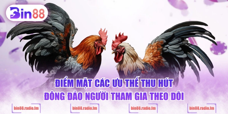 Điểm mặt các ưu thế thu hút đông đảo người tham gia theo dõi
