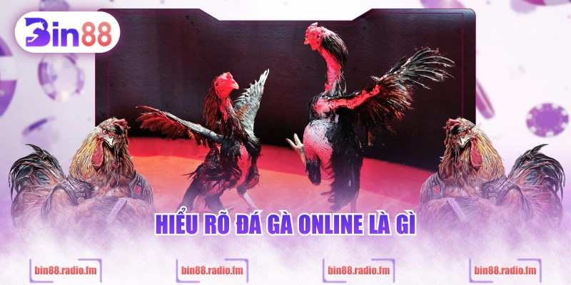 Hiểu rõ đá gà online là gì