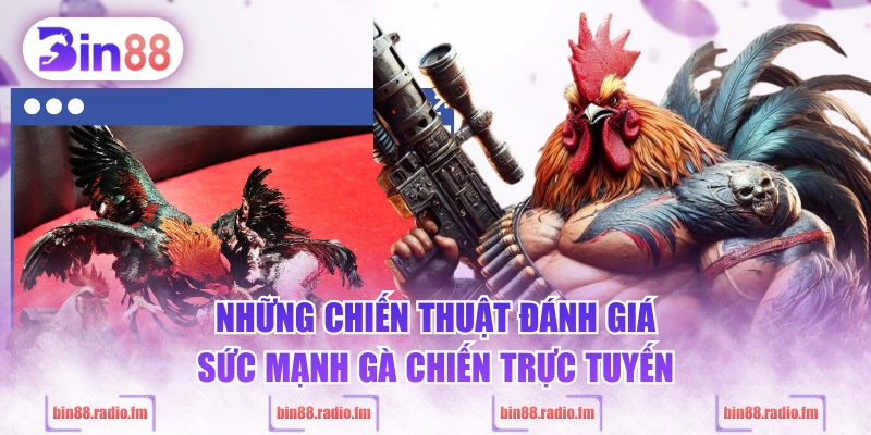 Những chiến thuật đánh giá sức mạnh gà chiến trực tuyến