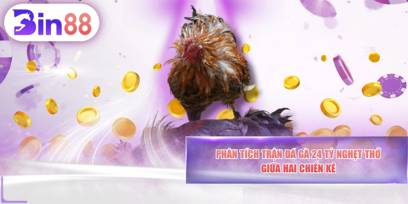 Phân Tích Trận Đá Gà 24 Tỷ Nghẹt Thở Giữa Hai Chiến Kê