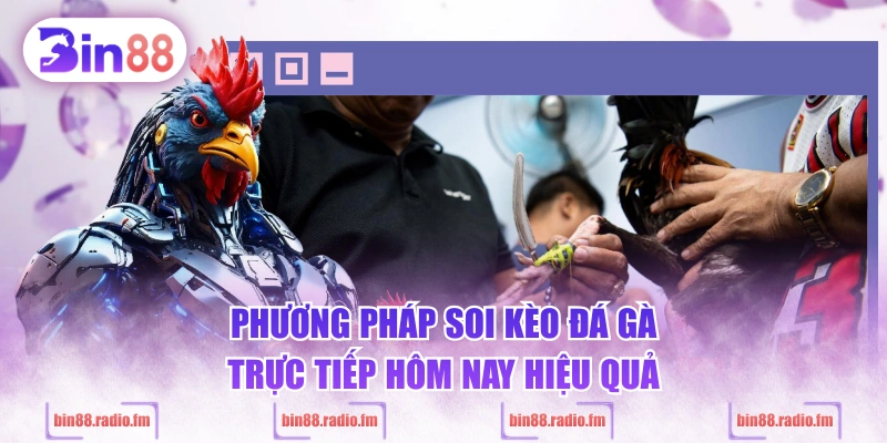 Phương pháp soi kèo đá gà trực tiếp hôm nay hiệu quả