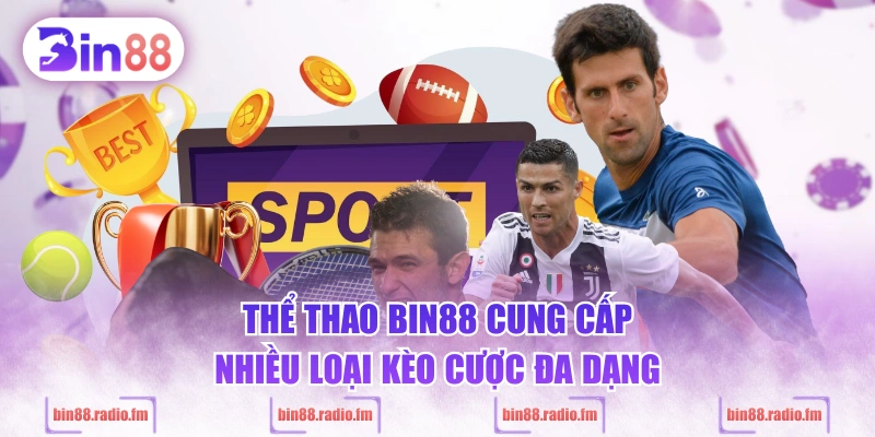 Thể thao BIN88 cung cấp nhiều loại kèo cược đa dạng